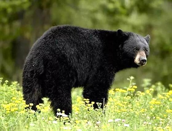 【假日自助游】|夏天驾到抚远，来一场休闲避暑的旅行