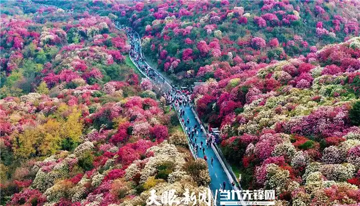 中国旅游日｜世界再大，不过就在你我脚下