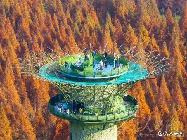 图游天下 发现中国｜从北国雪原到南国暖阳：今年的冬日旅行地图已更新