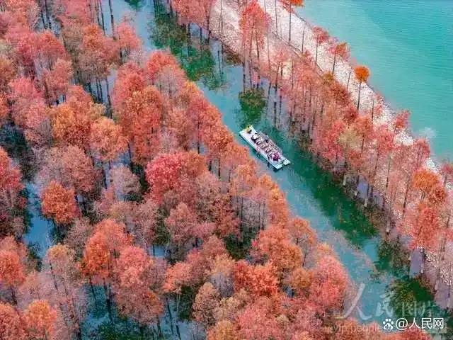 图游天下 发现中国｜从北国雪原到南国暖阳：今年的冬日旅行地图已更新