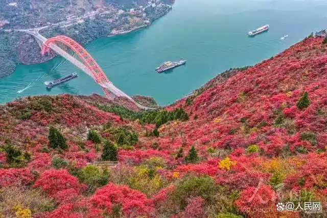 图游天下 发现中国｜从北国雪原到南国暖阳：今年的冬日旅行地图已更新