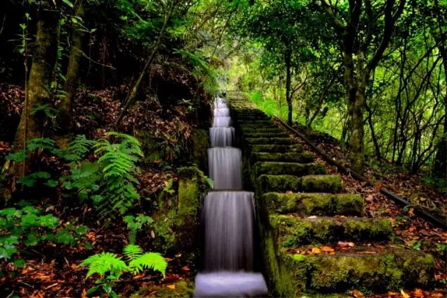 从北向南“纵享葡萄牙”！听一听葡萄牙旅游国务秘书强推的观光路线