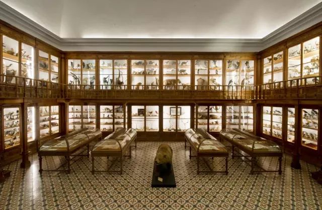 从北向南“纵享葡萄牙”！听一听葡萄牙旅游国务秘书强推的观光路线