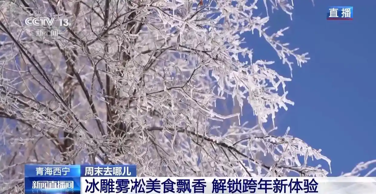 赏冰雕品美食 穿唐装游古街 周末开启跨年欢乐模式