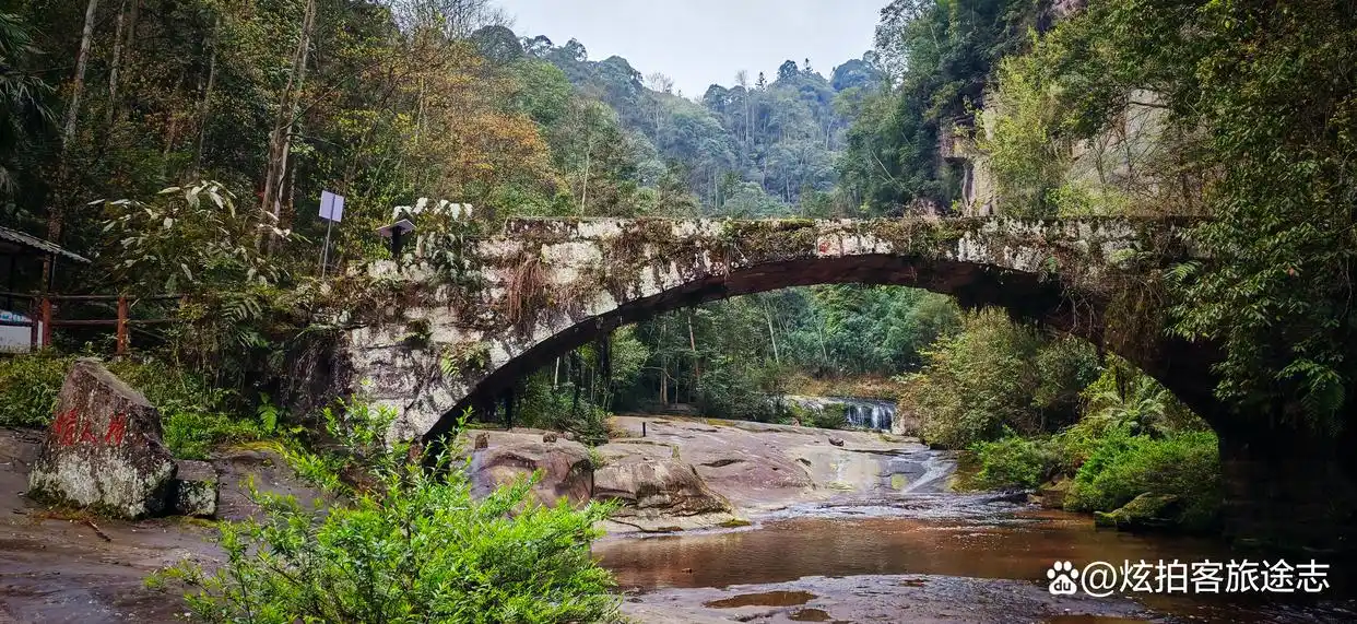 冬闯泸州黄荆老林：独享古蔺原始秘境