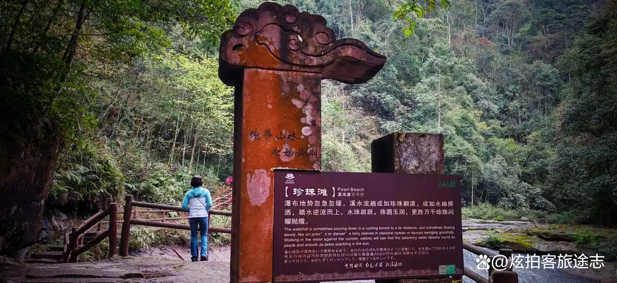 冬闯泸州黄荆老林：独享古蔺原始秘境