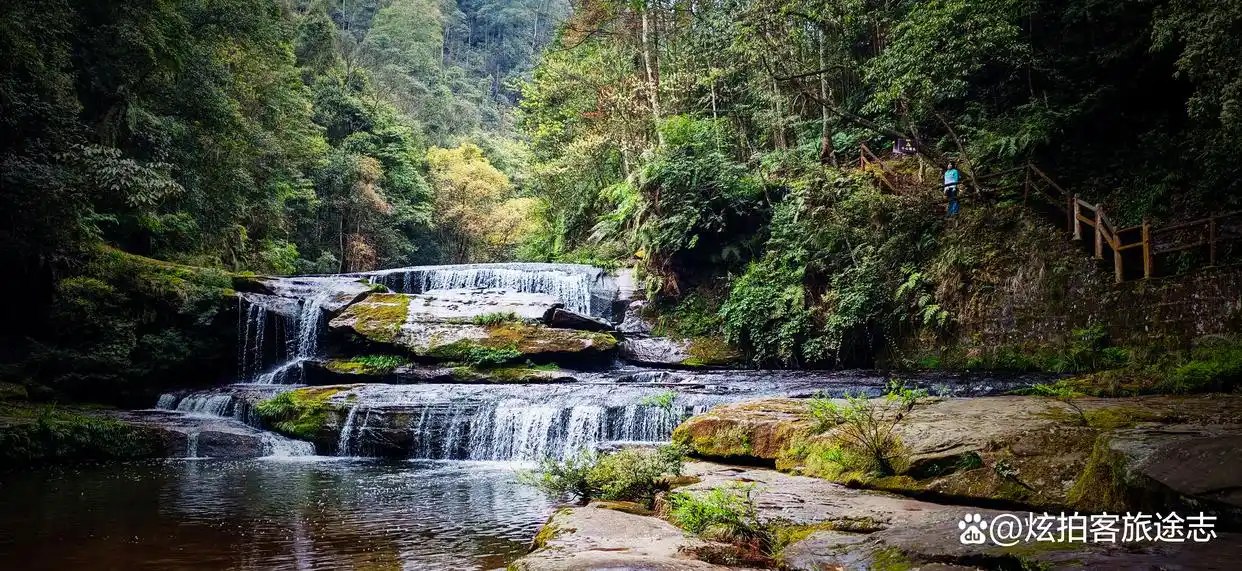 冬闯泸州黄荆老林：独享古蔺原始秘境