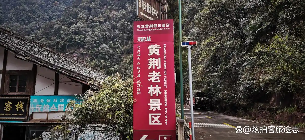 冬闯泸州黄荆老林：独享古蔺原始秘境