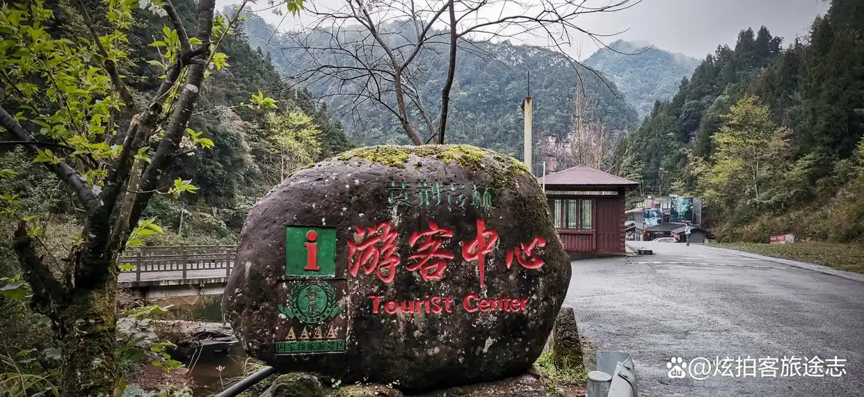 冬闯泸州黄荆老林：独享古蔺原始秘境