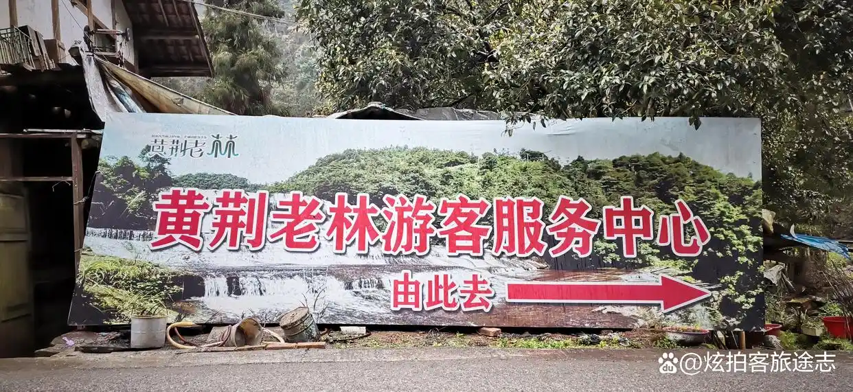 冬闯泸州黄荆老林：独享古蔺原始秘境