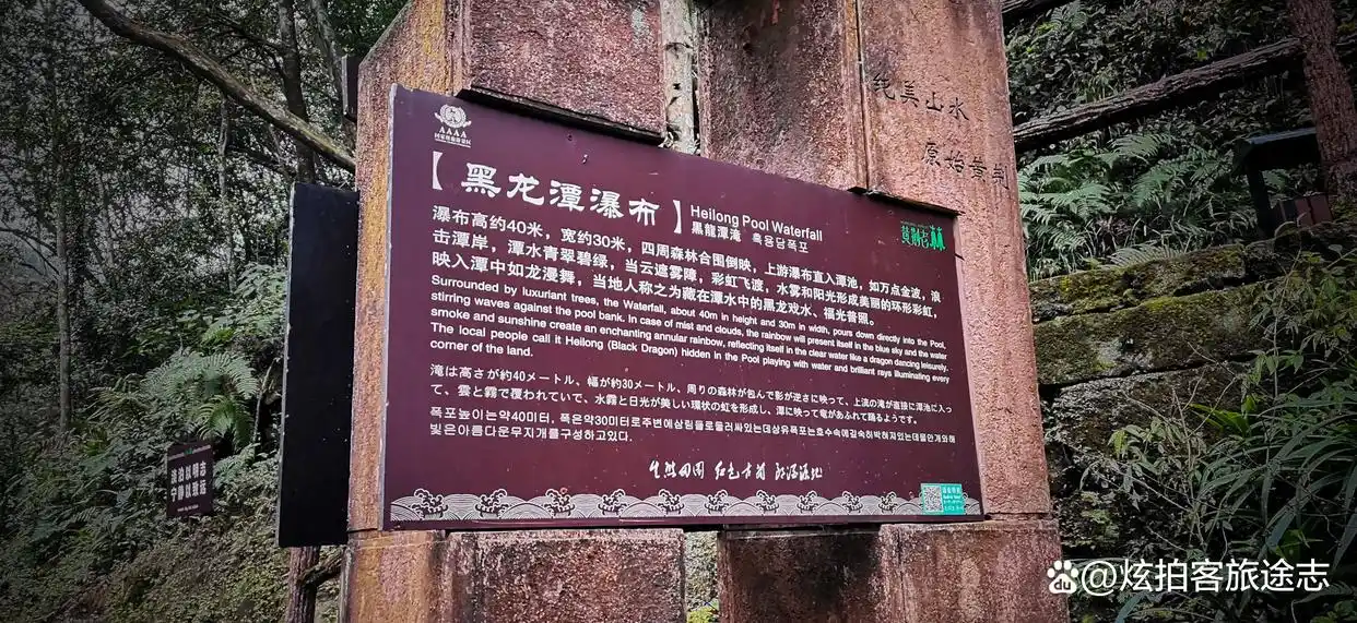 冬闯泸州黄荆老林：独享古蔺原始秘境