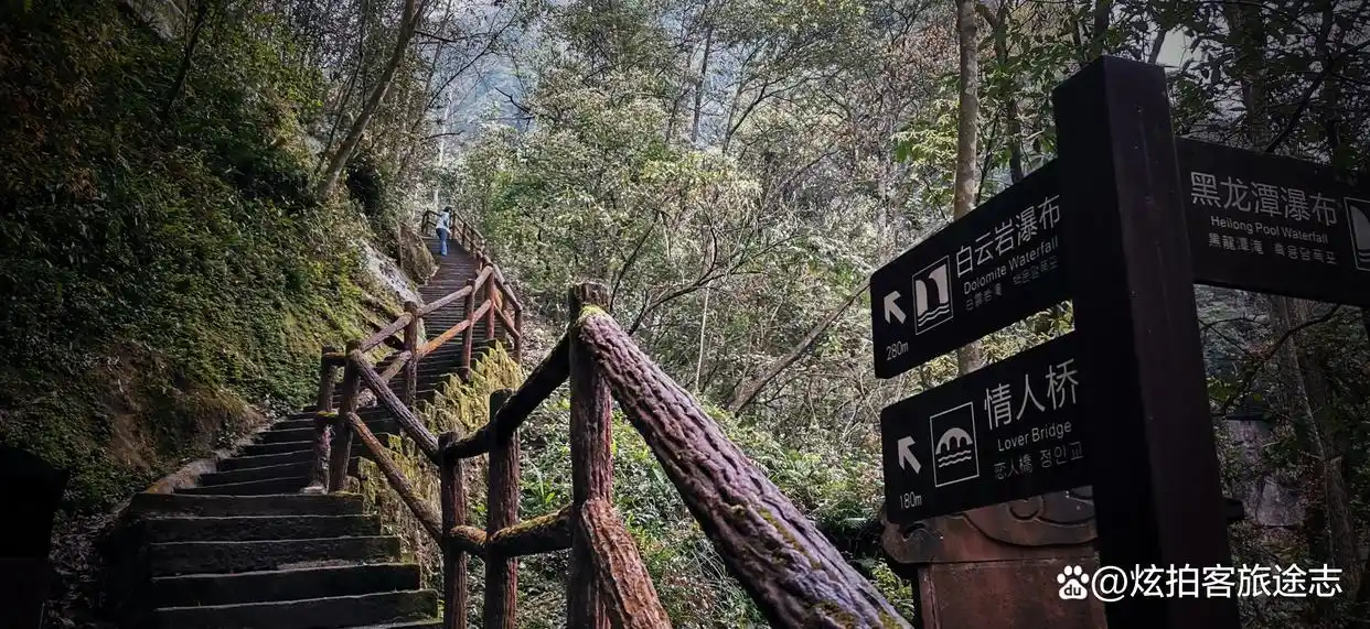 冬闯泸州黄荆老林：独享古蔺原始秘境