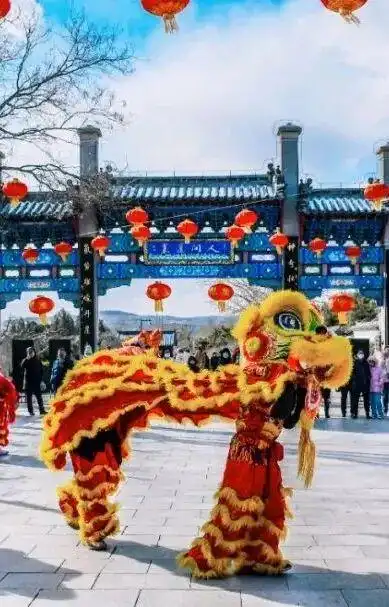 假日好去处丨元旦来烟台！巨巨巨好玩的活动都在这