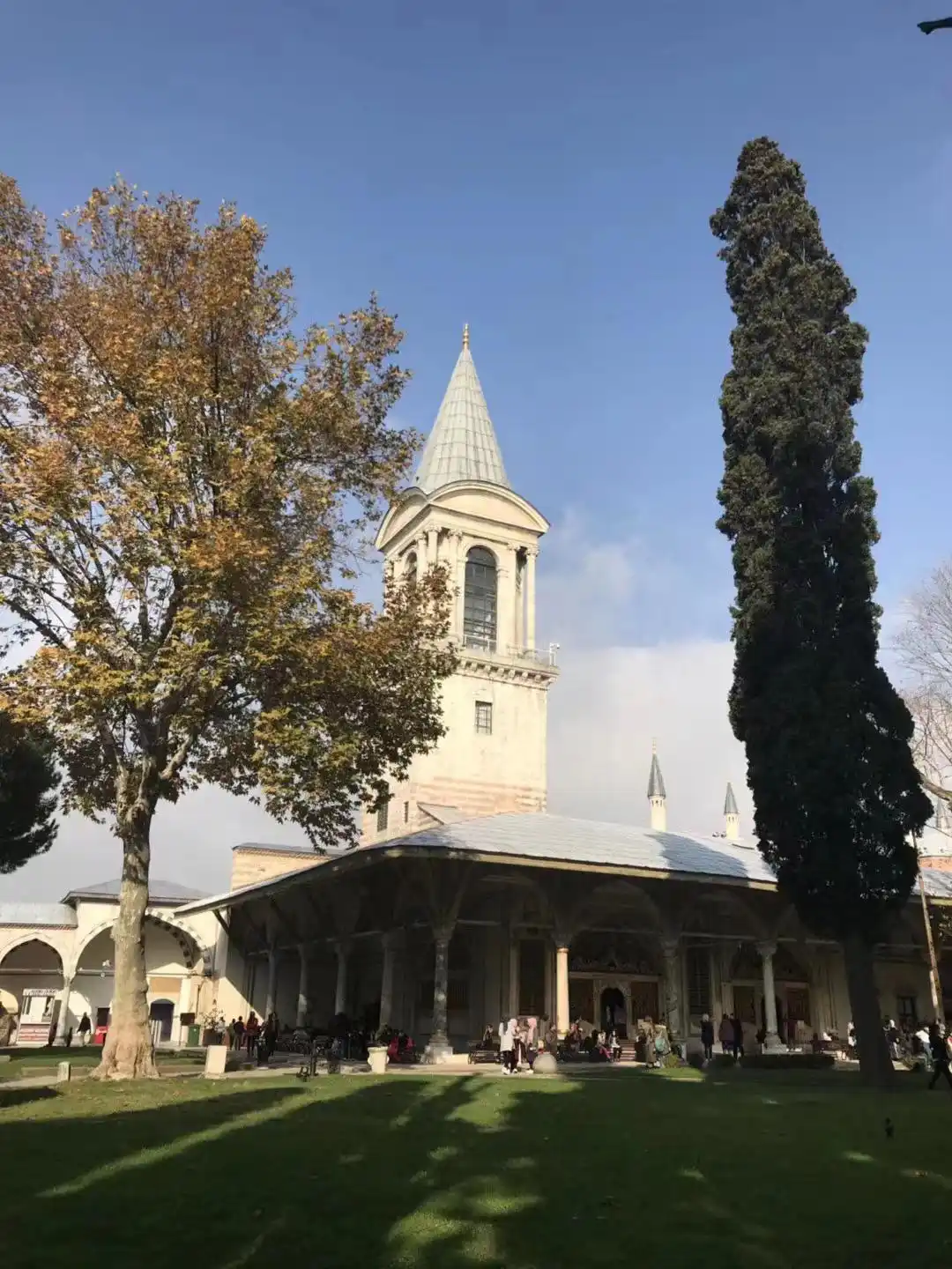 暴涨20倍！官宣新增78国团队游，出境跟团线路平台搜索瞬时大增