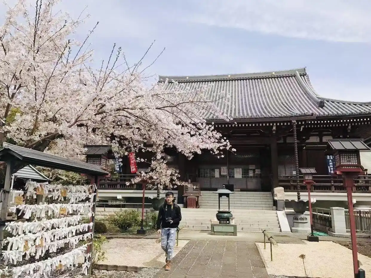 暴涨20倍！官宣新增78国团队游，出境跟团线路平台搜索瞬时大增