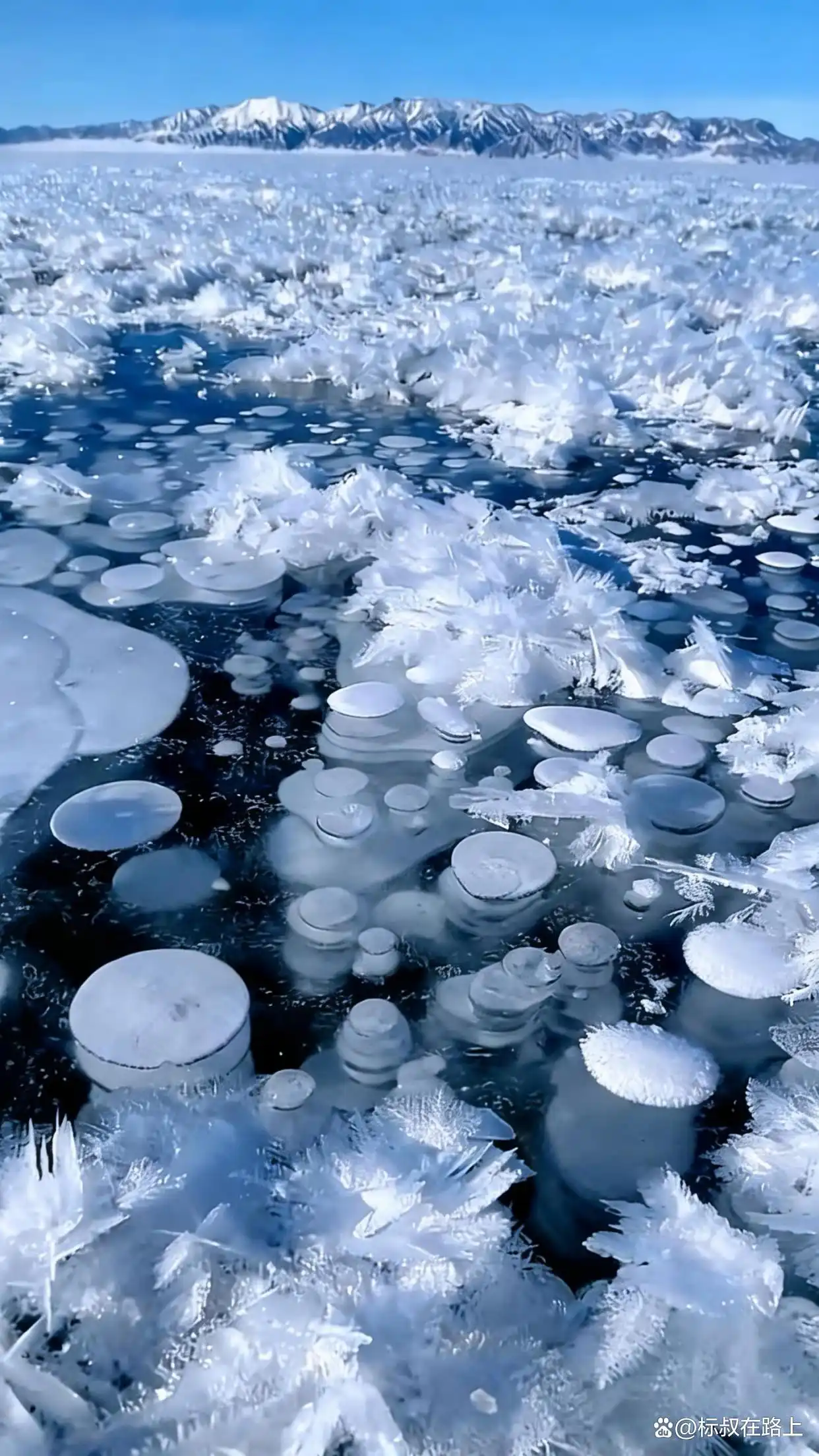 后来我逢人便说，赛里木湖的冬天有多美️！