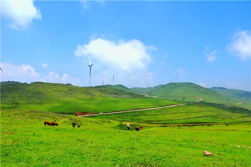 游线丨美丽乡村自由行，绿美文山迎客来