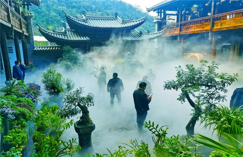 游线丨美丽乡村自由行，绿美文山迎客来