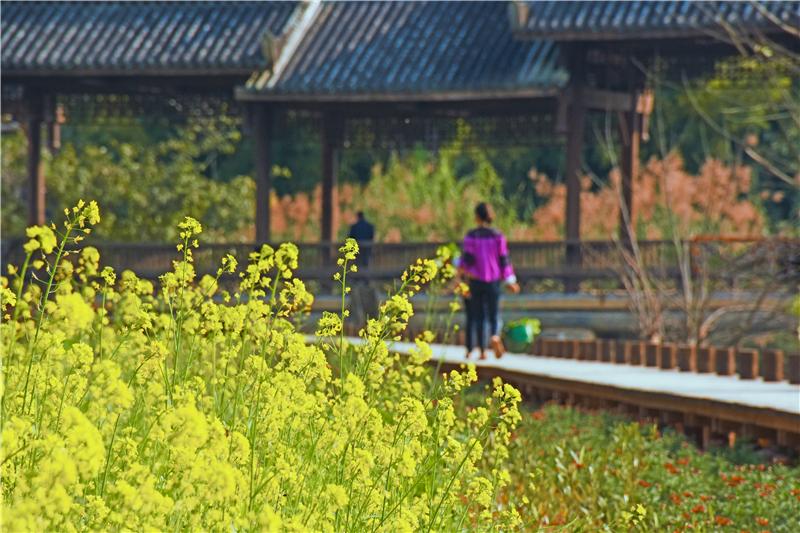 游线丨美丽乡村自由行，绿美文山迎客来