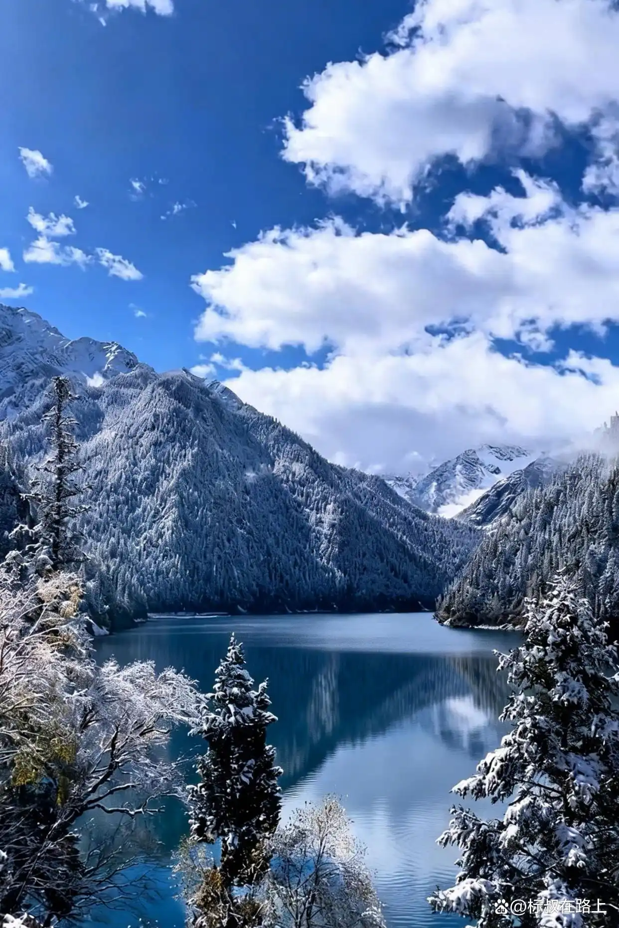 不在国外，在九寨沟！冬天的九寨沟鲨疯了！