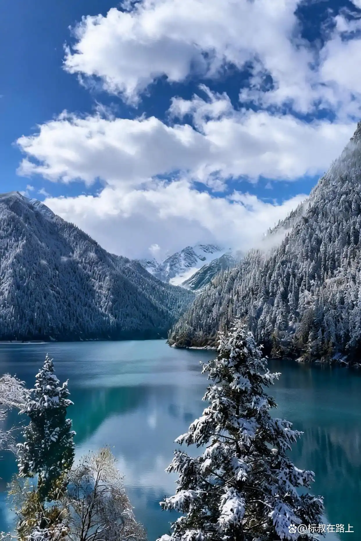 不在国外，在九寨沟！冬天的九寨沟鲨疯了！