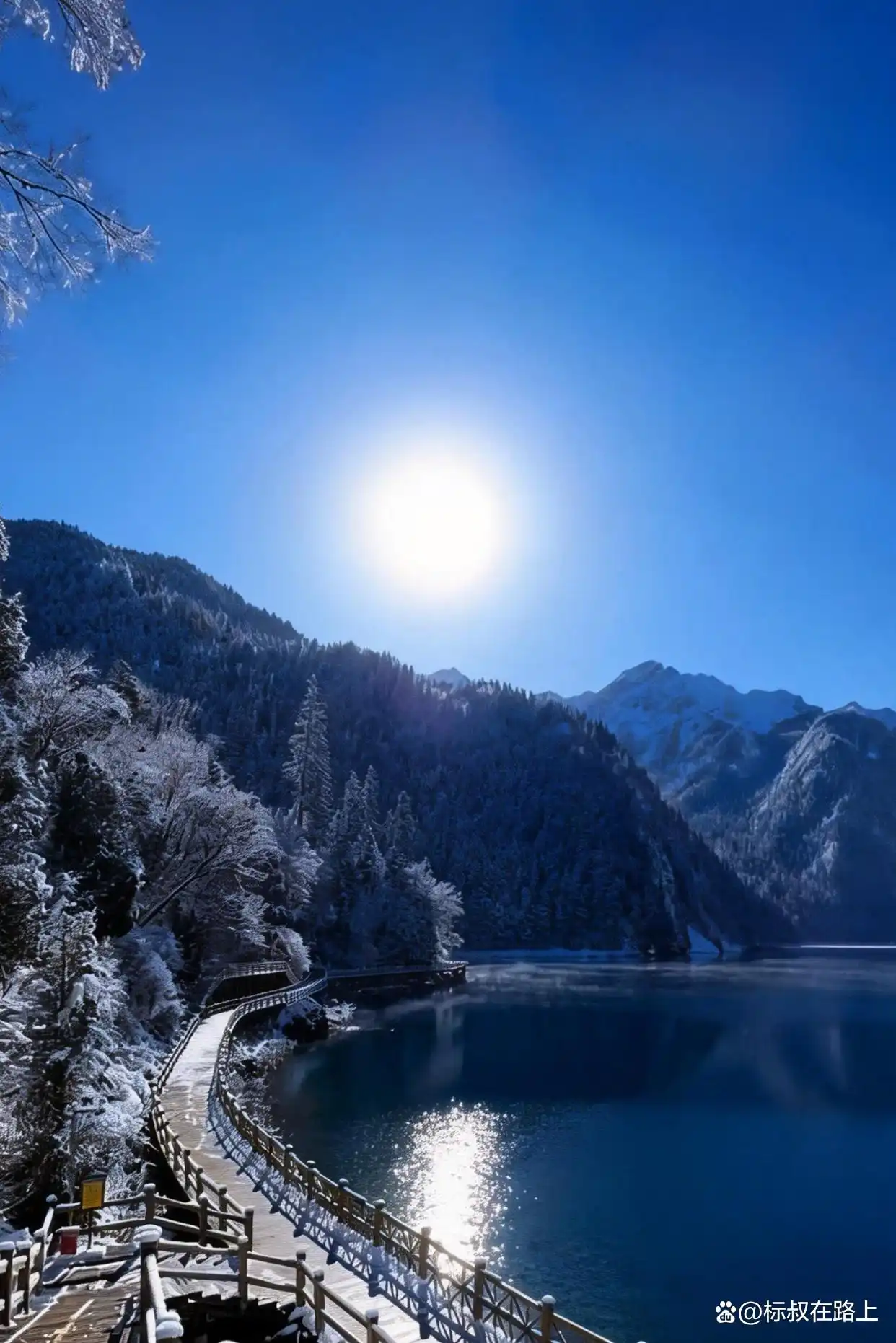 不在国外，在九寨沟！冬天的九寨沟鲨疯了！