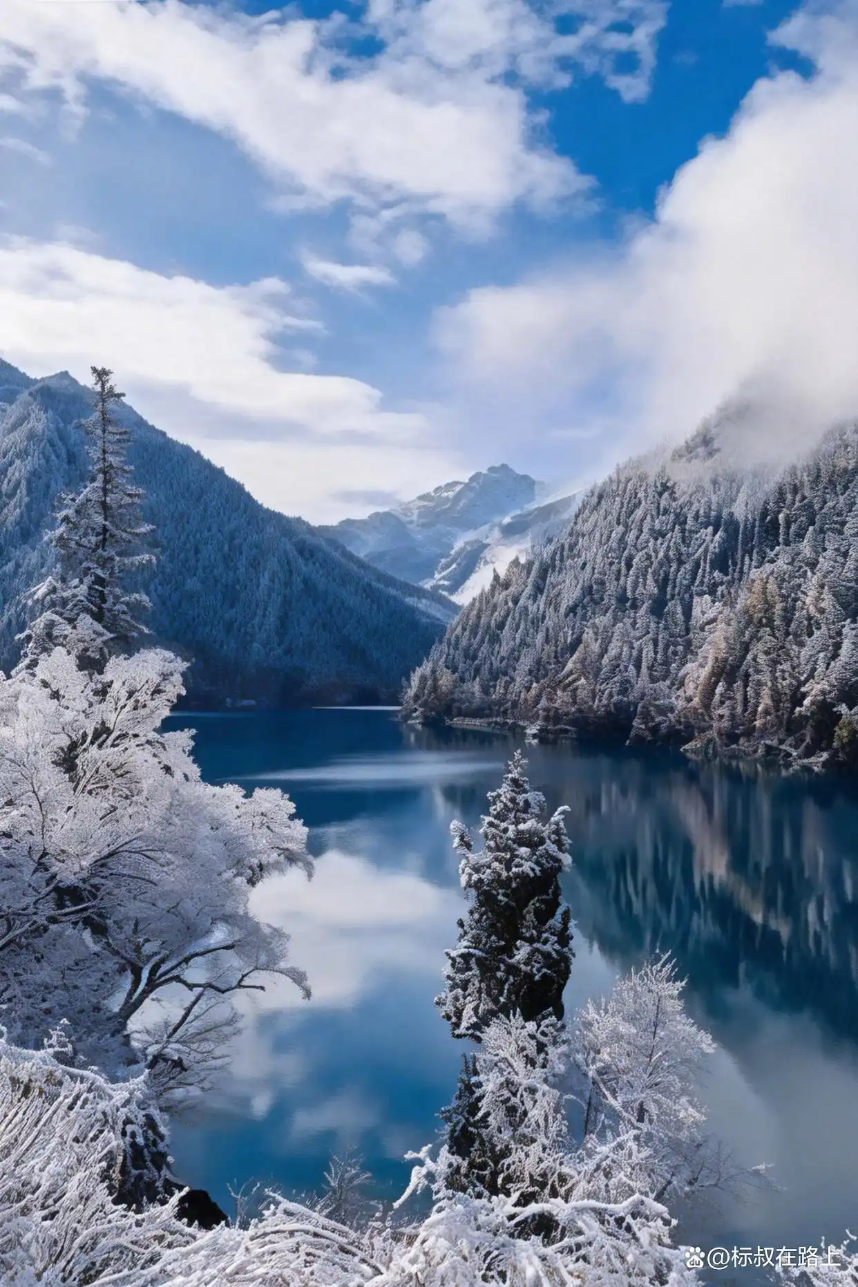 不在国外，在九寨沟！冬天的九寨沟鲨疯了！