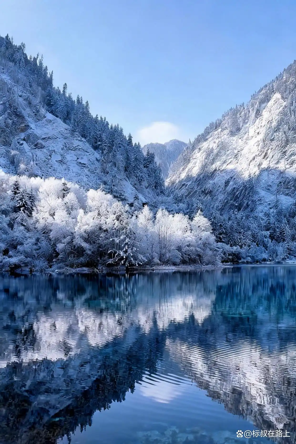 不在国外，在九寨沟！冬天的九寨沟鲨疯了！