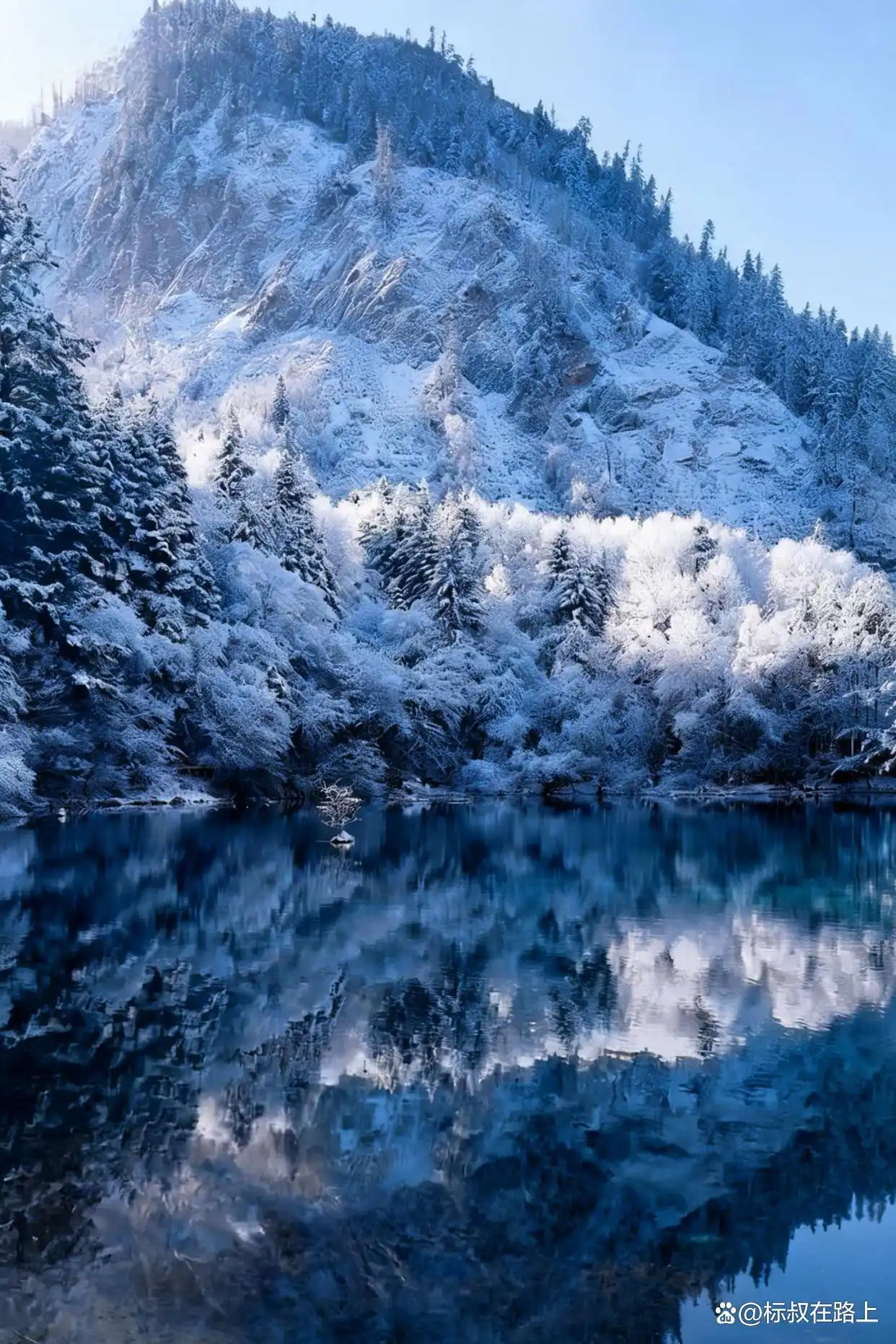 不在国外，在九寨沟！冬天的九寨沟鲨疯了！