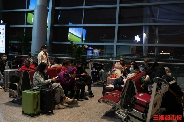 长沙出境游热度“狂飙”，短线自由行受青睐