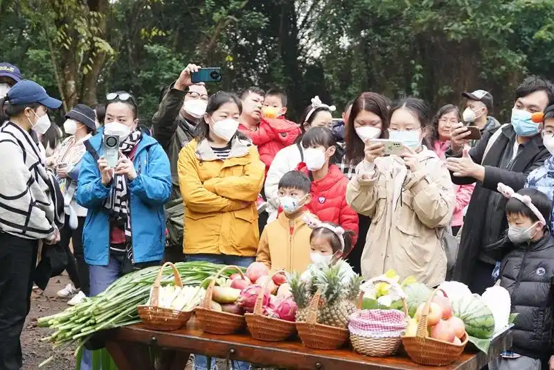 三大主题春节自由行旅游线路 带你玩转秀英