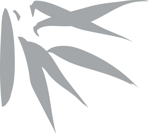 解锁冬游河北新玩法｜登长城、背名篇，送门票！