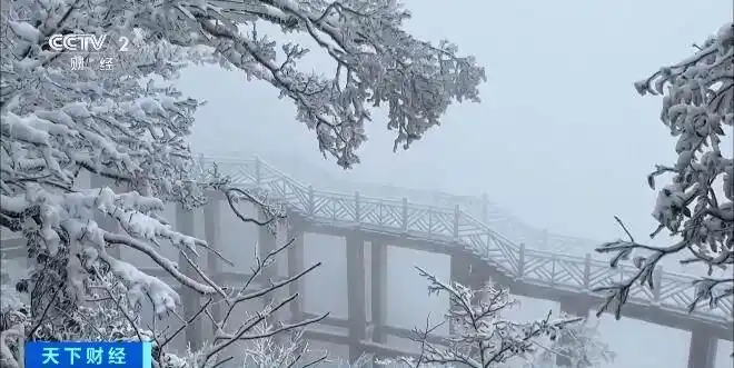 元旦登高！山岳类景区门票预订量涨超150%