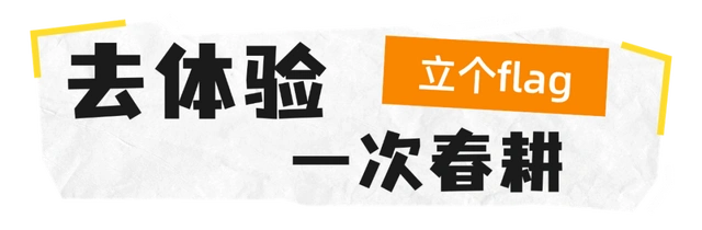 「冬季暖阳 凉山不凉」2026年立个flag，总要来普雄过一次慢生活~