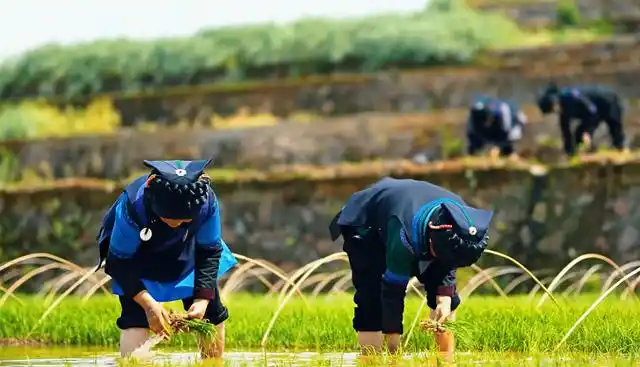 「冬季暖阳 凉山不凉」2026年立个flag，总要来普雄过一次慢生活~