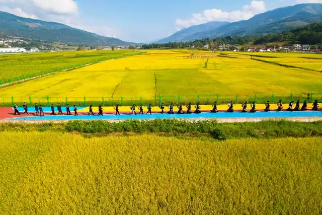 「冬季暖阳 凉山不凉」2026年立个flag，总要来普雄过一次慢生活~