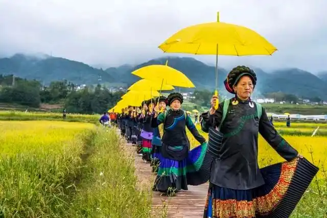 「冬季暖阳 凉山不凉」2026年立个flag，总要来普雄过一次慢生活~