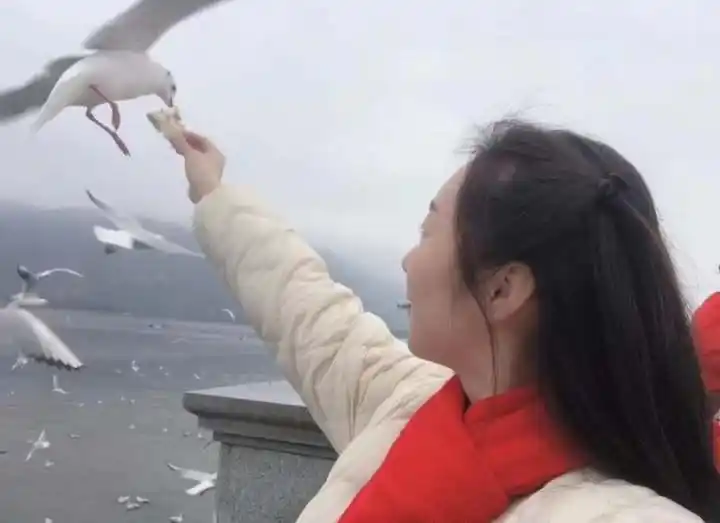 小学老师用蜜月资金带全家自驾过年，不一样的春节，归途与远行都是团圆