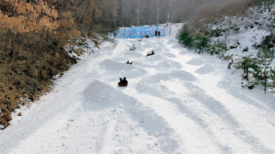 周末快冲！淄博这些神仙遛娃地，玩到不想回家！