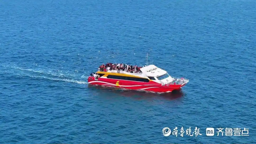 青岛海上游迎开门红！假期“票根经济”带动5901张船票销售