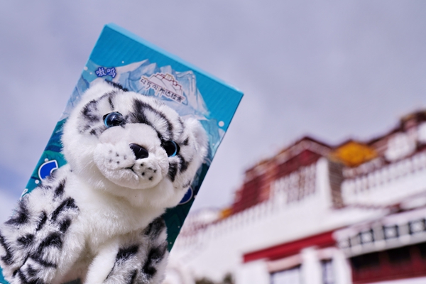 布达拉宫：在保护与开放中续写千年辉煌