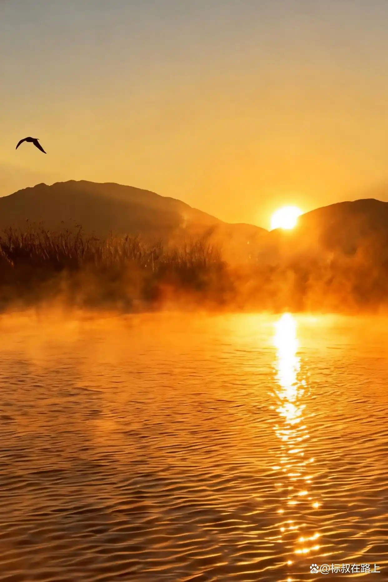 在泸沽湖拍到了人生画面，简直仙境！
