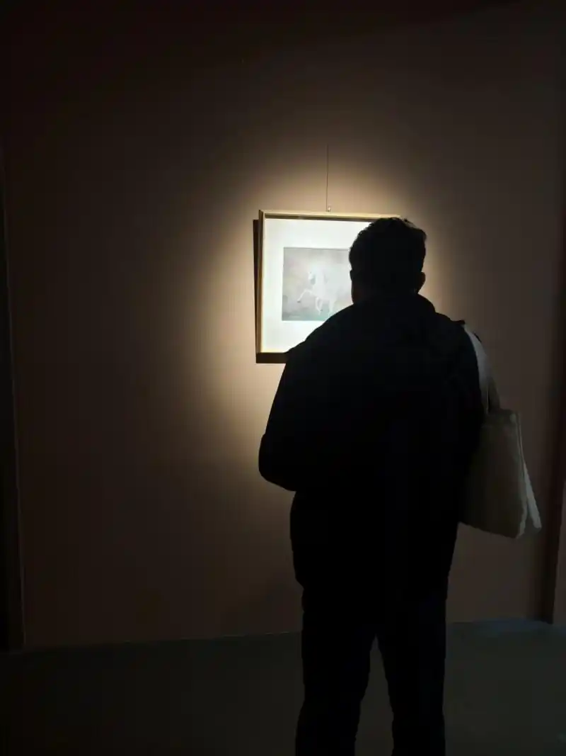 新年“马力全开”逛展就像游乐园寻宝