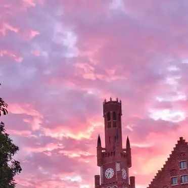 春天里的一抹亮丽，黄花风铃木下，我们踏青去！