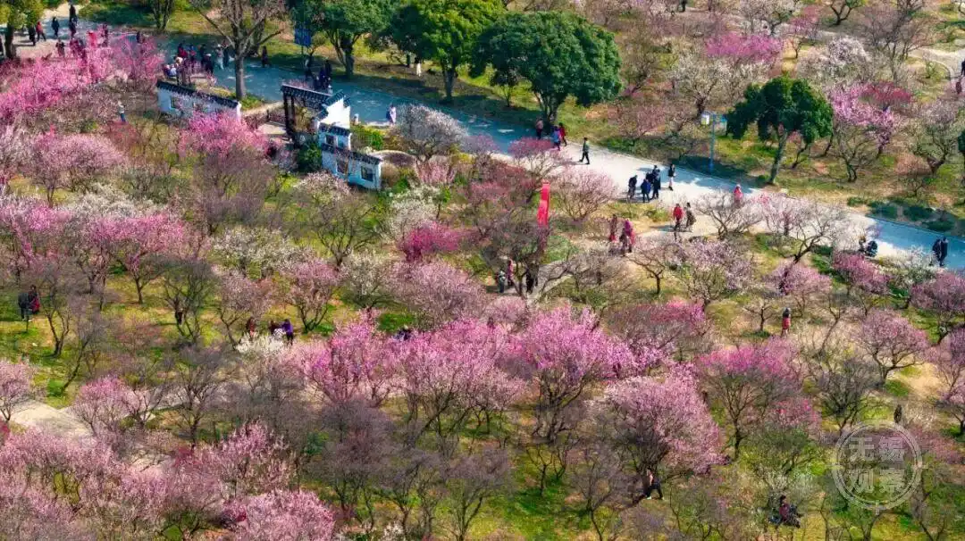 国际邮轮要来了！