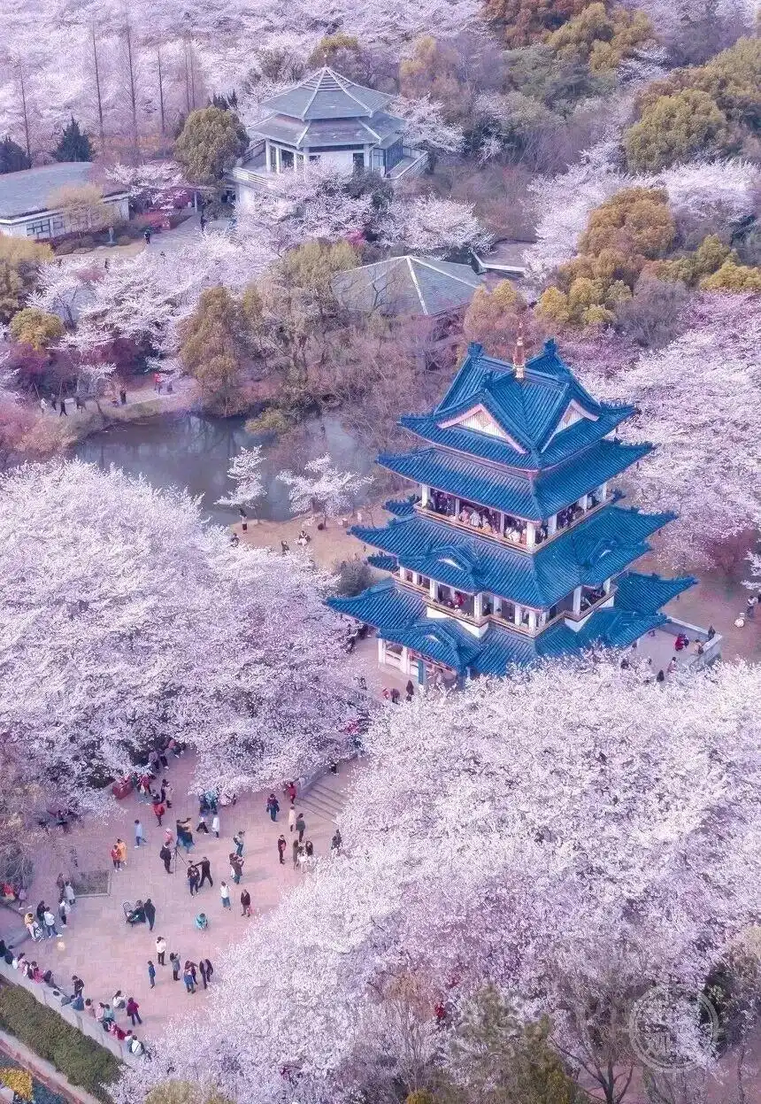 国际邮轮要来了！