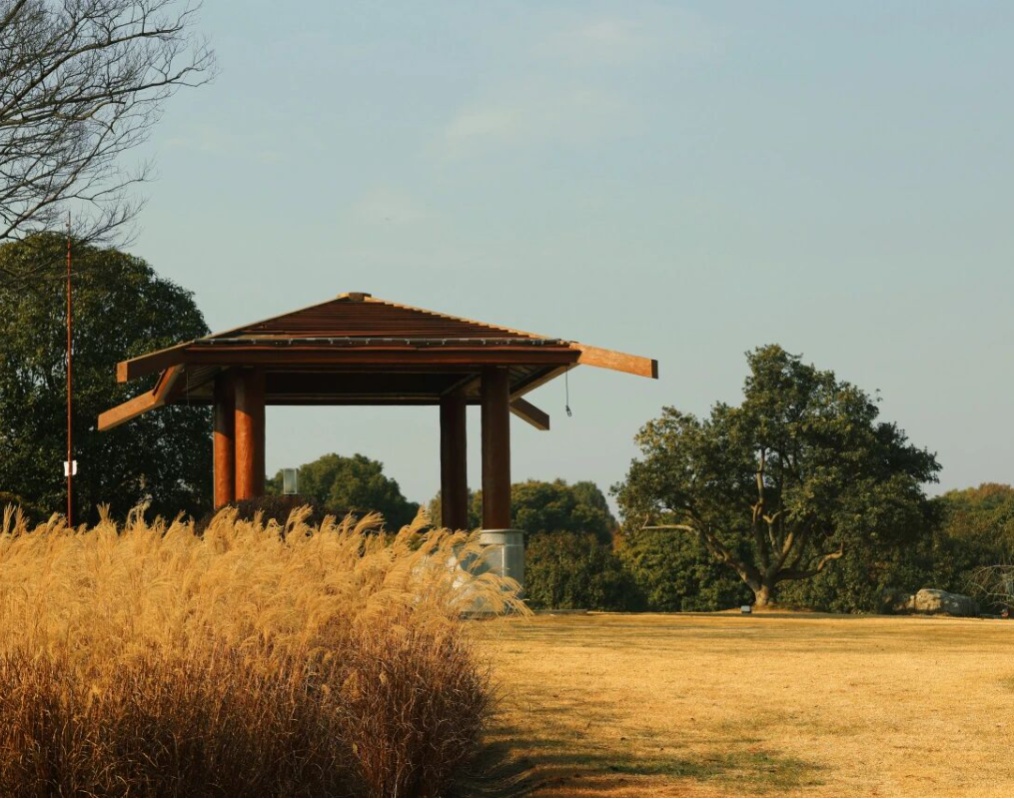 旅超·域见宝山｜马上出发！新春深度游、酒店休闲、邮轮度假尽在宝山！