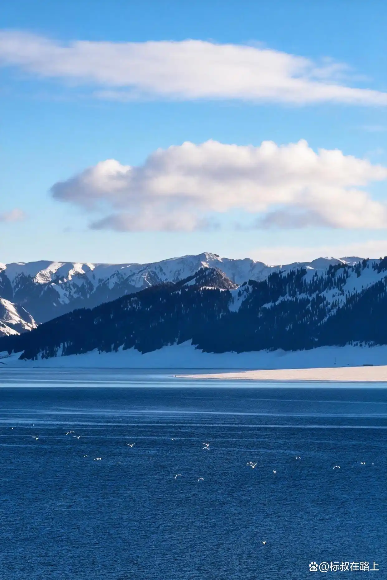 赛里木湖的冬天，像是沉入粉蓝色梦境！