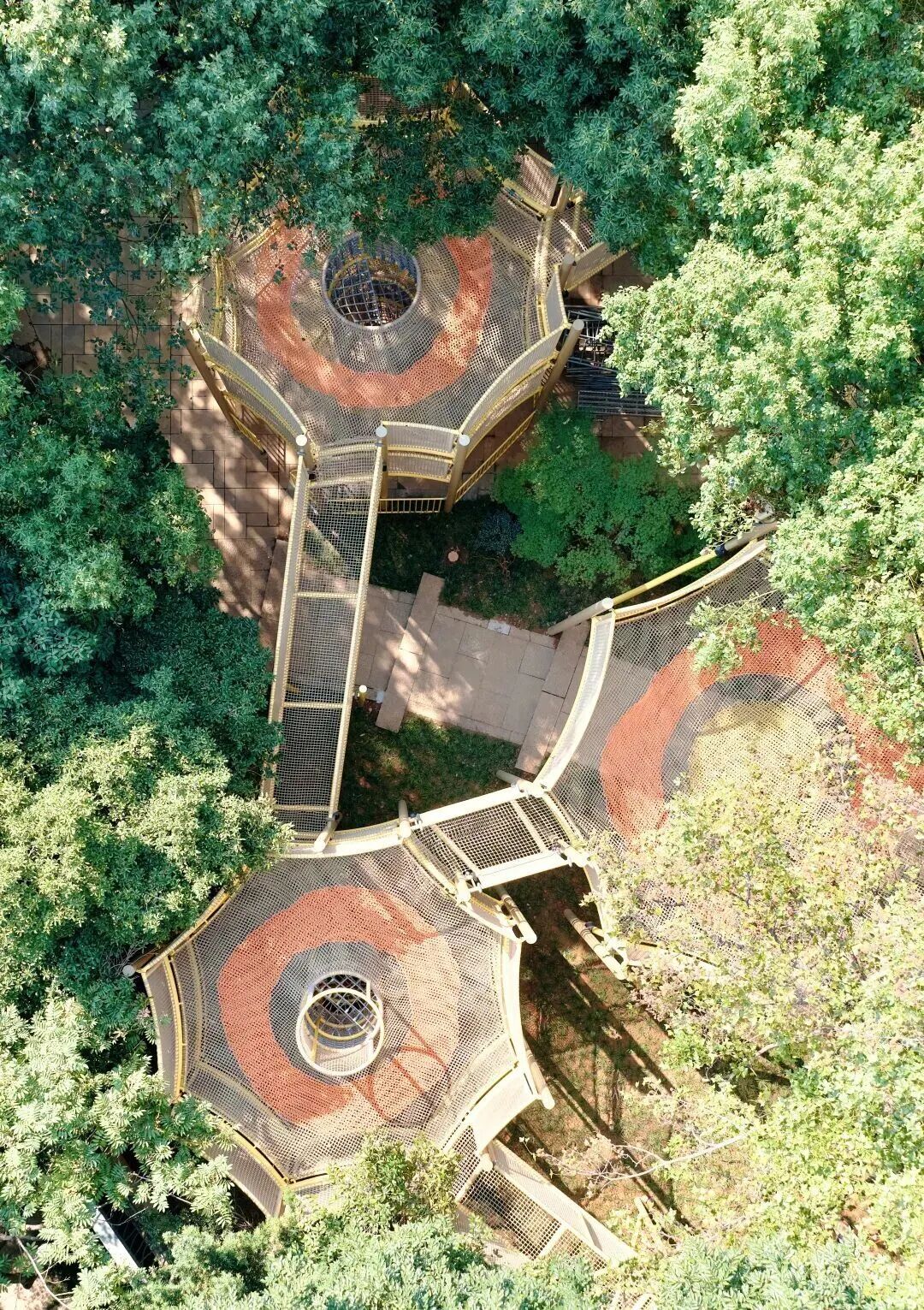 门票8元！杭州一动物园，正式开放！来了好多“新朋友”