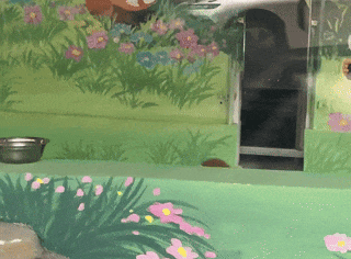 门票8元！杭州一动物园，正式开放！来了好多“新朋友”